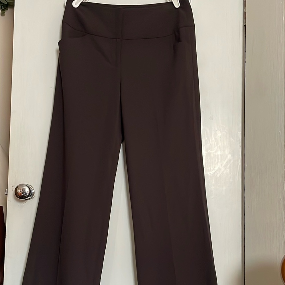 ANTONIO MELANI Women Dark Brown Dress Pants